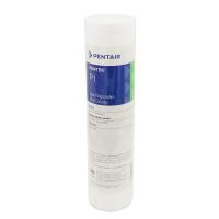Картридж Pentair (Pentek) P1
