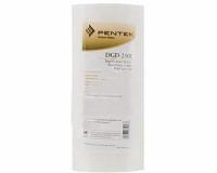 Картридж Pentek DGD-2501 10BB