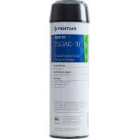 1 Картридж Pentair (Pentek) TSGAC-10