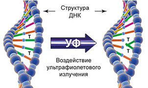 uf-sterilize-2.jpg