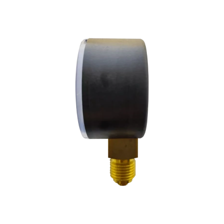 Манометр радиальный 1/4" 0-10 бар для BWT Protector mini