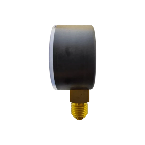 Манометр радиальный 1/4" 0-10 бар для BWT Protector mini