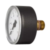 Манометр аксиальный 1/4" 0-10 бар для BWT Protector mini HWS