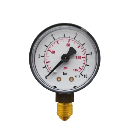 Манометр радиальный 1/4" 0-10 бар для BWT Protector mini